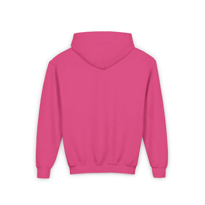Blue/Pink Travel Ball Life Youth Hoodie